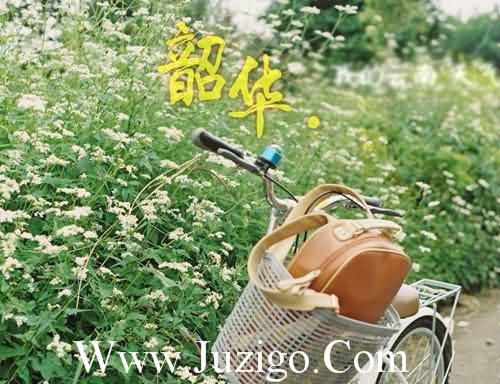 七月唯美文案短句七月文案短句干净治愈(精选98句)