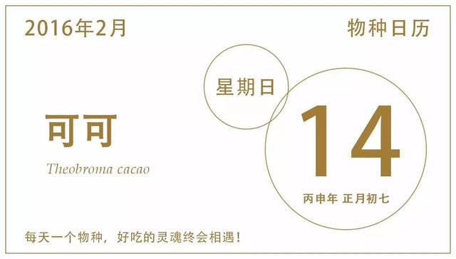 吃可可有哪些好处（可可它是神的食物）(1)