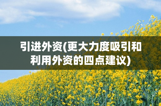 引进外资(更大力度吸引和利用外资的四点建议)