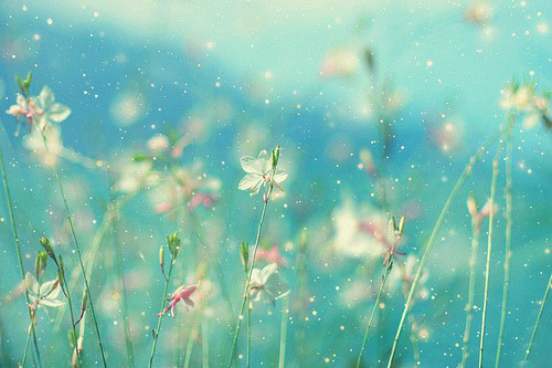 春节经典祝福短信100句