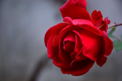 ​美得心碎的句子（精选100句）