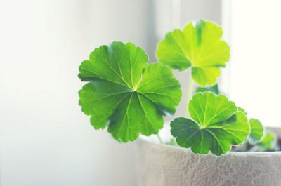 ​qq空间恶搞回复60句