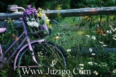 ​2023中秋节祝福语大全简短(精选76句)