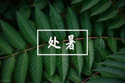 ​处暑有“三候”，分别指的是什么？