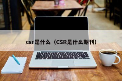 ​csr是什么（CSR是什么期刊）