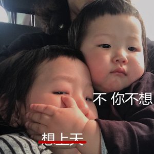 ​想上天，不你不想，想买口红，不你不想「不你不想表情包附原图」