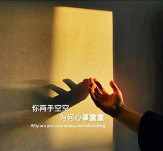 ​过于理性的女生是什么样子的？