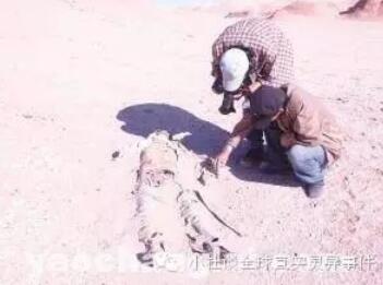 罗泊湖有什么神奇诡异的事变：罗泊湖丧失事变最新解密
