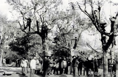 ​1958年除四害是哪四害（新四害和旧四害）