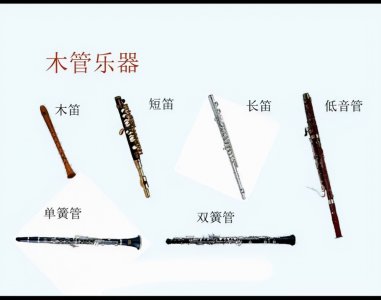 ​木管乐器有哪些类别（铜管乐器和木管乐器有什么区别？都有什么种类？）