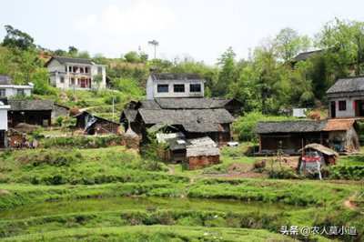 ​农村违章建筑能强拆吗 ？哪些情况可以拆除呢？