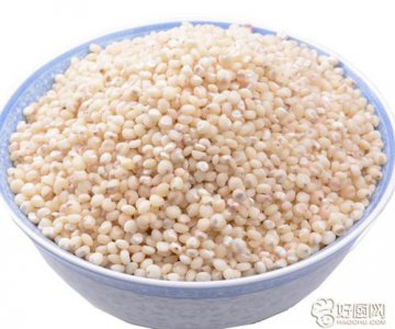 ​高粱米的功效与作用（降血糖 健肠胃）