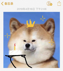 ​如何设置苹果相册密码锁，相册里不想让人看的相片怎么办？看这里教你加密