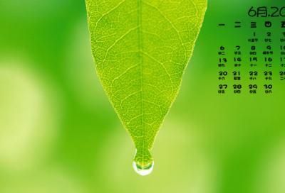 ​庆祝虎年的成语，虎年祝福成语(68句)