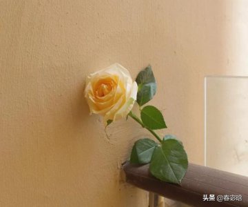 ​十字以内短句(好听的短句子十字以内霸气)