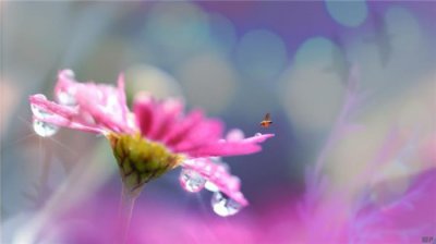 ​关于生活的句子（现实经典的生活感悟句子）