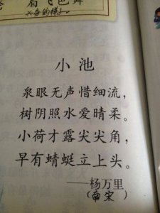 ​含有夏字的唯美诗句 带有夏和墨字的唯美诗句