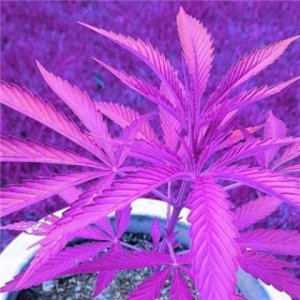​凌晨的朋友圈说说 凌晨发朋友圈 一个人深夜语录[24条]