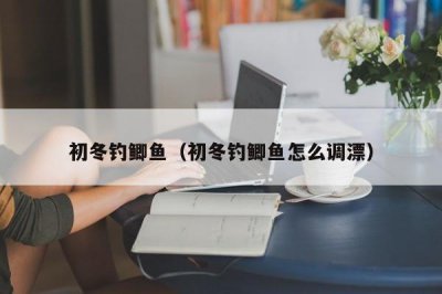 ​初冬钓鲫鱼（初冬钓鲫鱼怎么调漂）