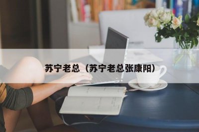 ​苏宁老总（苏宁老总张康阳）