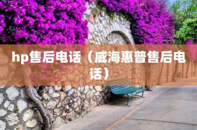 ​report是什么意思(report是什么意思中文翻译)