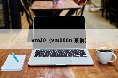 ​vm10（vm100n 豪爵）