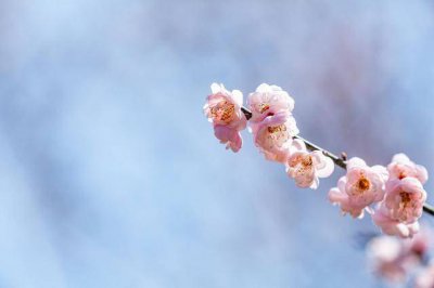 ​一个男人深爱你的体现 男人如果深爱一个女人,一般会有这四种表现