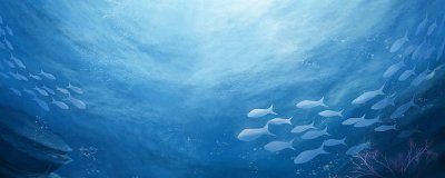 ​海洋最深处有多少米 海洋最深处有多少米视频