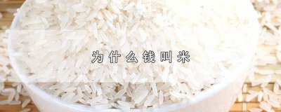 ​为什么钱叫做米 为什么有人叫钱叫做米饭