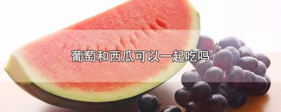 ​西瓜跟葡萄可以一起吃吗 葡萄跟西瓜能不能一起吃