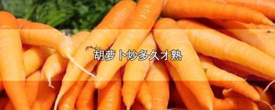 ​胡萝卜炒多久才熟