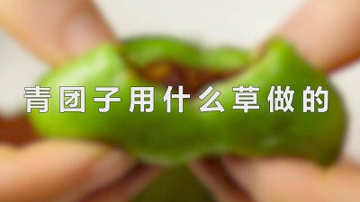 ​青草团做法 青团子有几种草可以做肥料