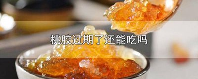 ​桃胶过期了可以吃吗 桃胶过期了可以吃吗?