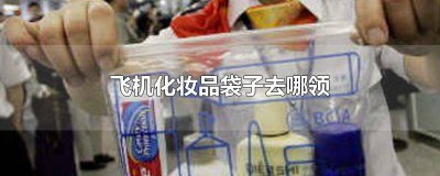 ​飞机化妆品透明袋子用那种 飞机化妆品透明袋是什么样子的