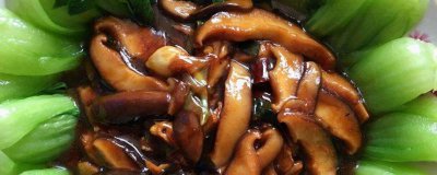 ​家常香菇炒油菜窍门视频 家常香菇炒油菜窍门是什么