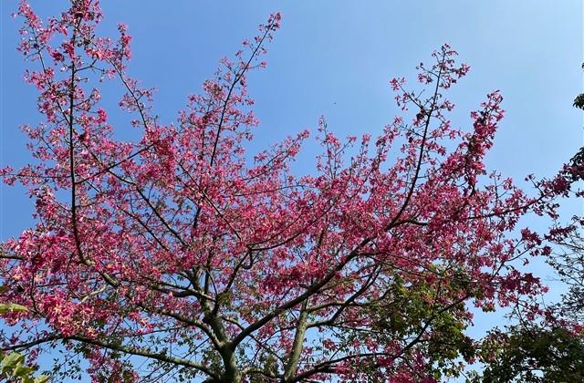 理解包容的文案短句（精选139句）