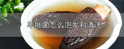 ​生的羊肚菌怎么清洗 视频 羊肚菌如何泡发