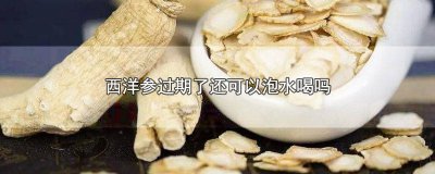 ​西洋参泡水多长时间就不能喝了呀 西洋参泡水多久不能喝
