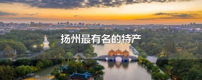 ​扬州特产有哪些特产小吃 扬州特产有哪些特产小零食