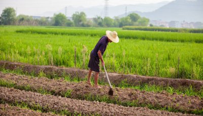 ​盐碱化的成因地理答题模板 盐碱化的成因危害治理措施