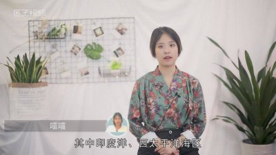 ​冰箱冻死的螃蟹能不能吃 冰箱里冻死的螃蟹可以吃吗