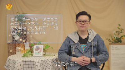 ​彼岸花和石蒜有什么区别 彼岸花和石蒜一样吗