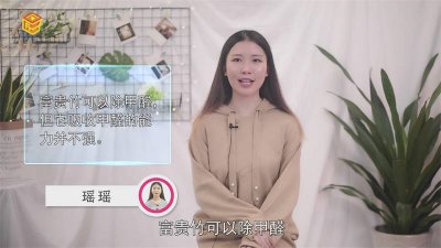 ​富贵竹除甲醛吗有效果吗 富贵竹除甲醛吗怎么养