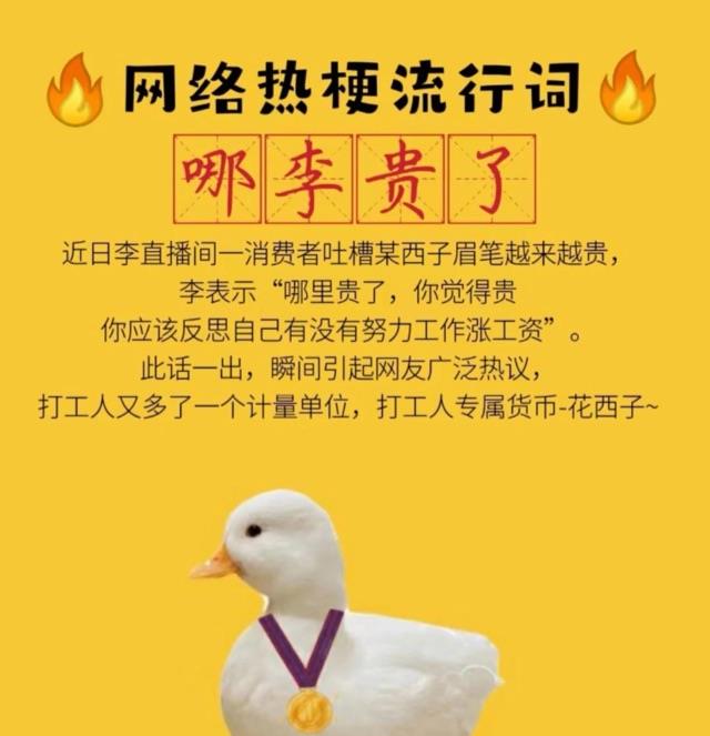 热梗李佳琦之文学，网络热词“哪李贵了”是什么“梗”？  3