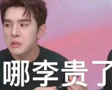 ​李佳琦之文学，网络热词“哪李贵了”是什么“梗”？