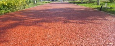 ​什么是透水水泥混凝土