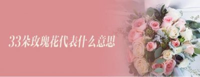 ​33朵玫瑰花代表什么意思