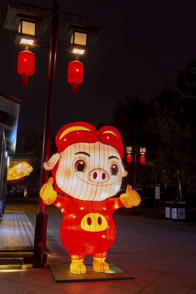 来西安看灯展，两个地方不错过