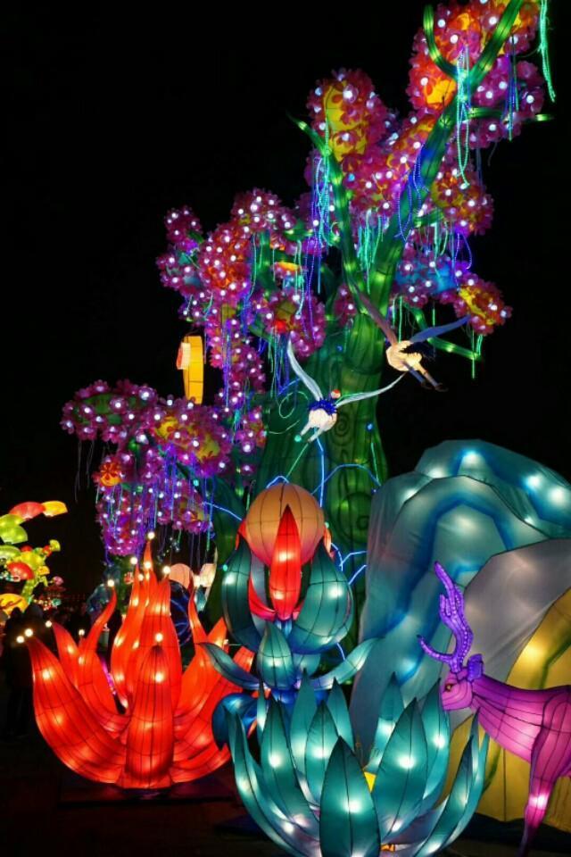 来西安看灯展，两个地方不错过
