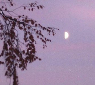 ​关于爱情的说说伤感108句